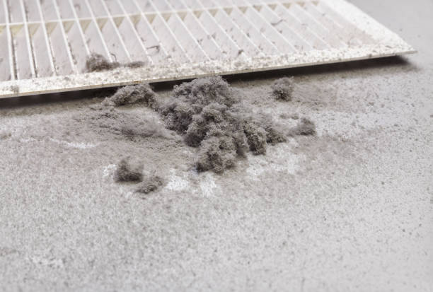 Best Dryer Vent Cleaning Services  in West Homestead, PA