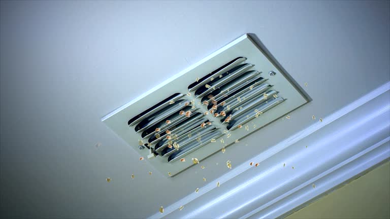 Best Local Air Duct Cleaning Services  in West Homestead, PA