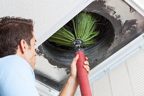 Best Home Air Vent Cleaning  in West Homestead, PA